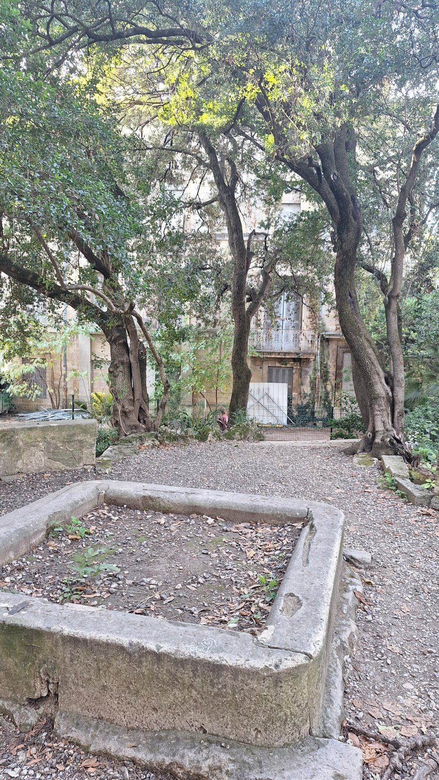 Rhony’s Festival&nbsp;! image 7