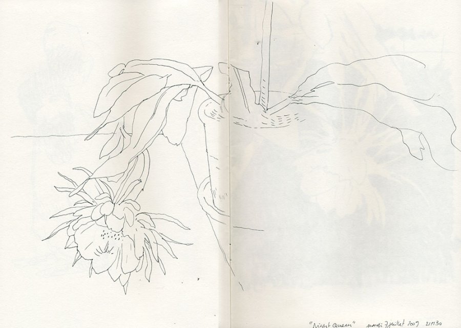 Night Queen image 1