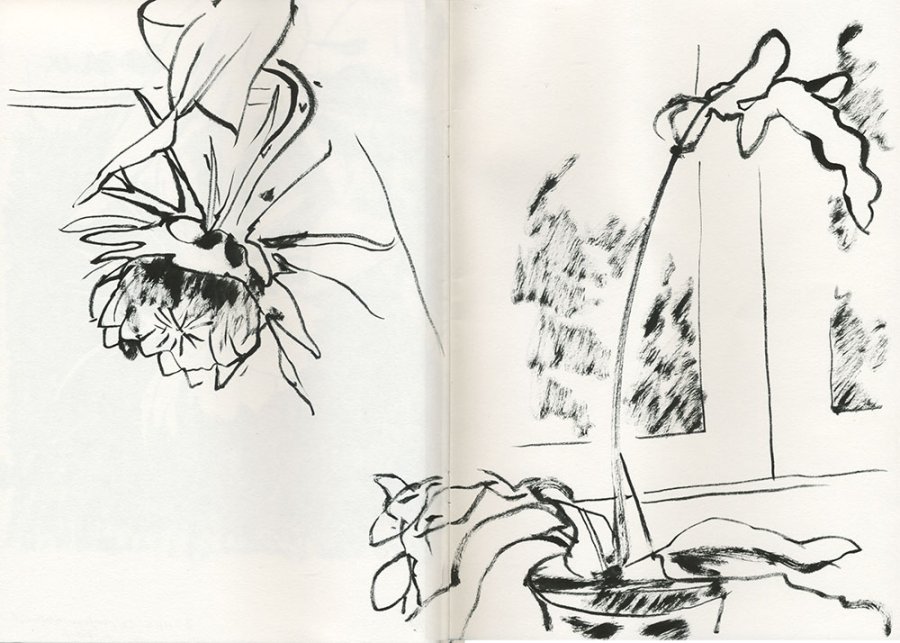 Night Queen image 3