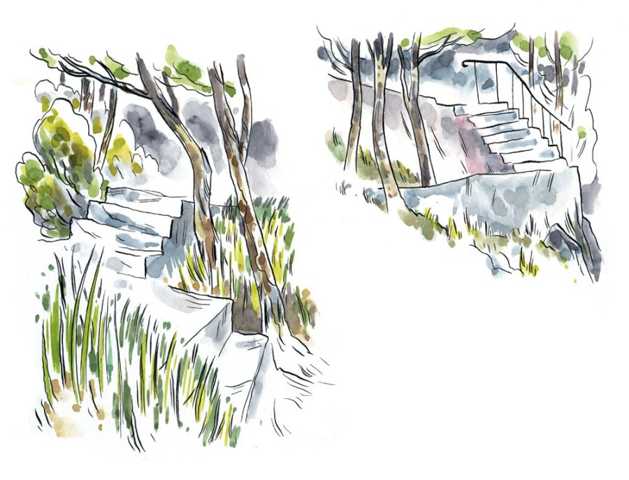 Dans le jardin ? image 1